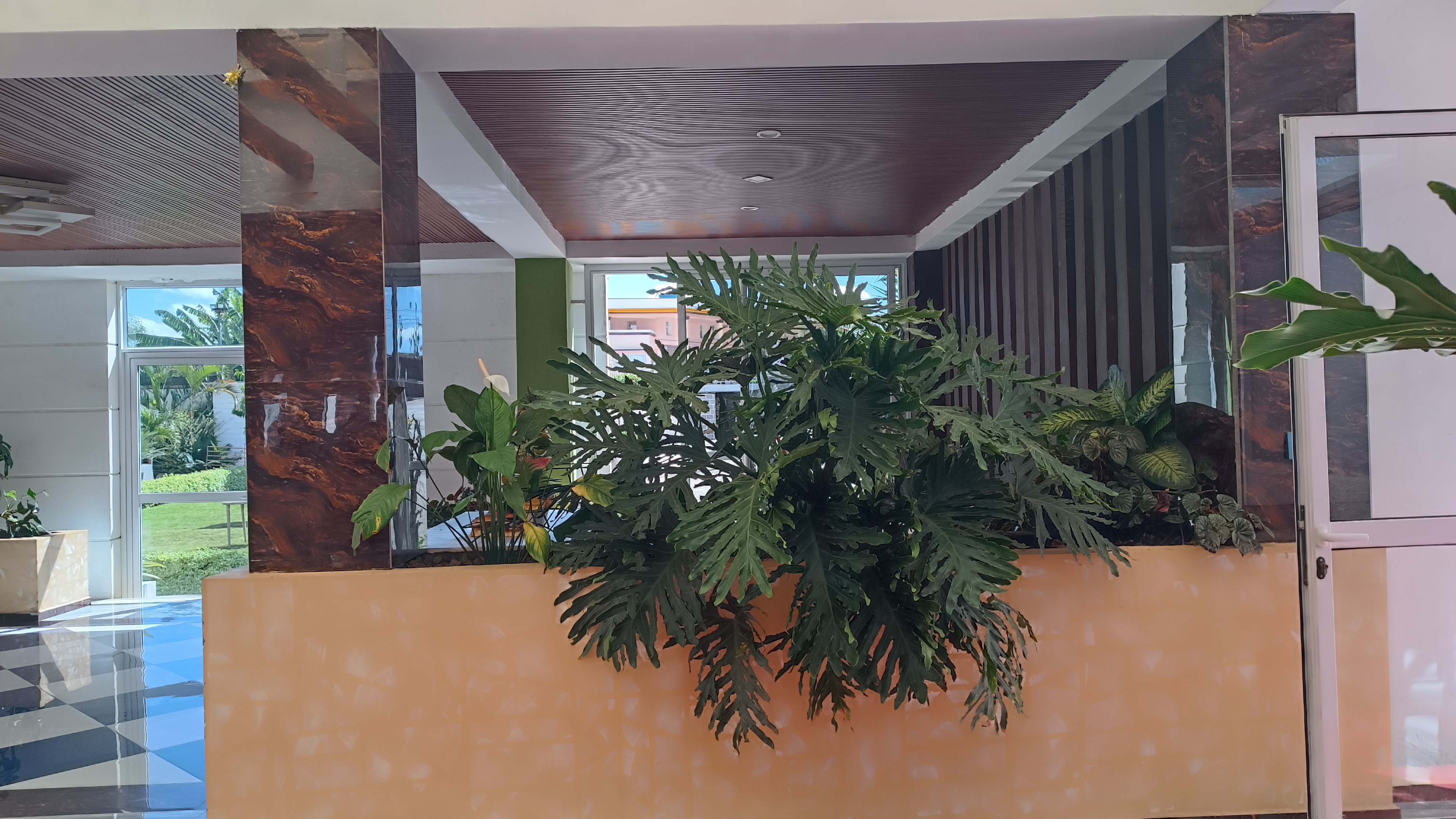 Salle Tropical